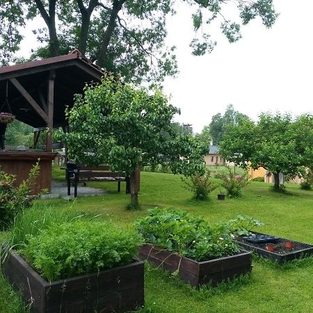 Mija Apartman S Vinnym Sklipkem, Zahradou A Grilem Kájov المظهر الخارجي الصورة