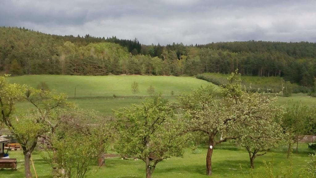 Mija Apartman S Vinnym Sklipkem, Zahradou A Grilem Kájov المظهر الخارجي الصورة